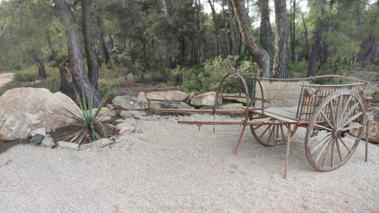 Mas Del Olivar La Portellada